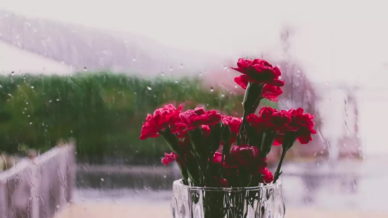 video-2019-02-13-pexels-videos-1451126-1xj2qaud87-a8c0d88.mp4